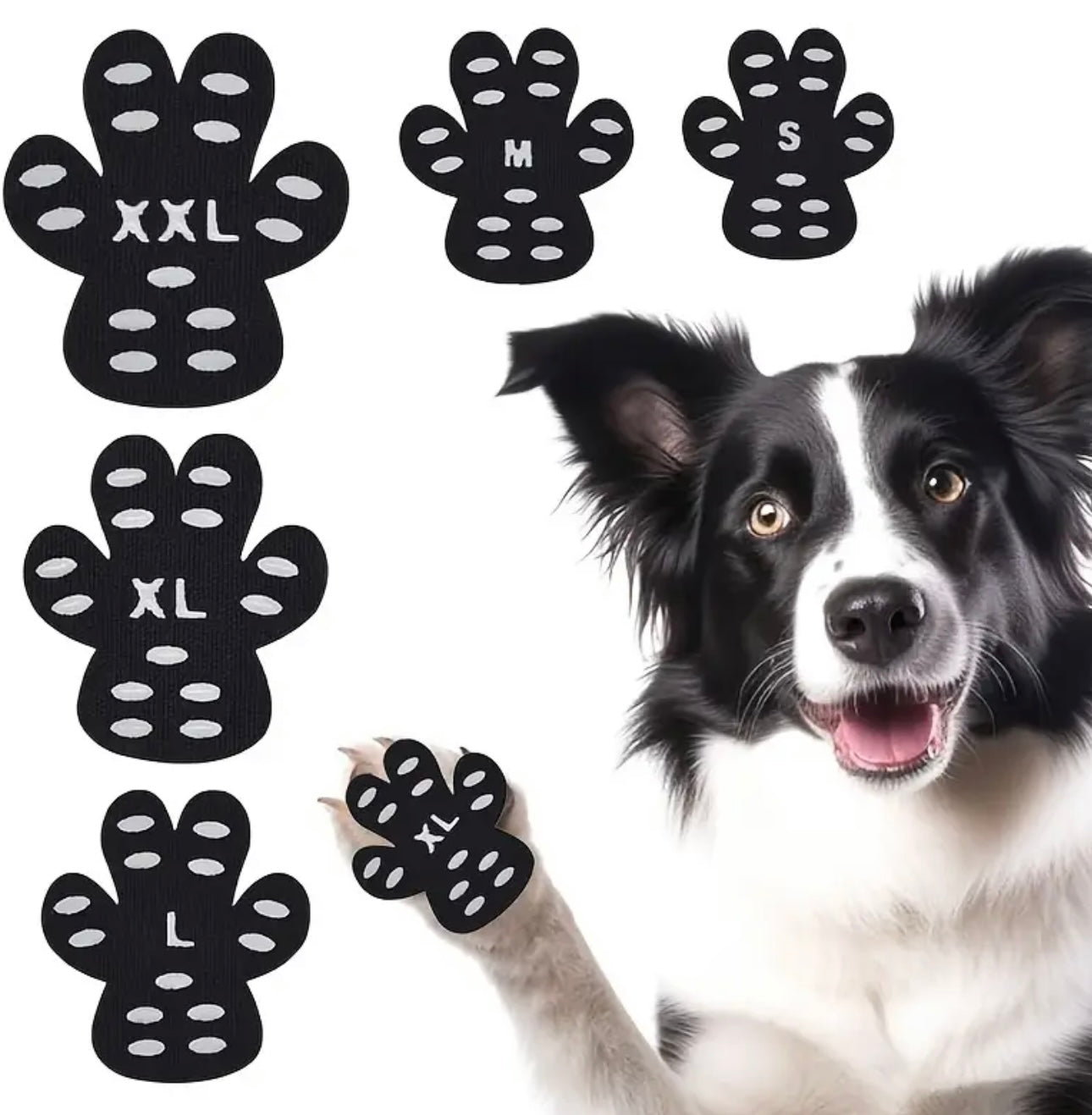 Paw Pads
