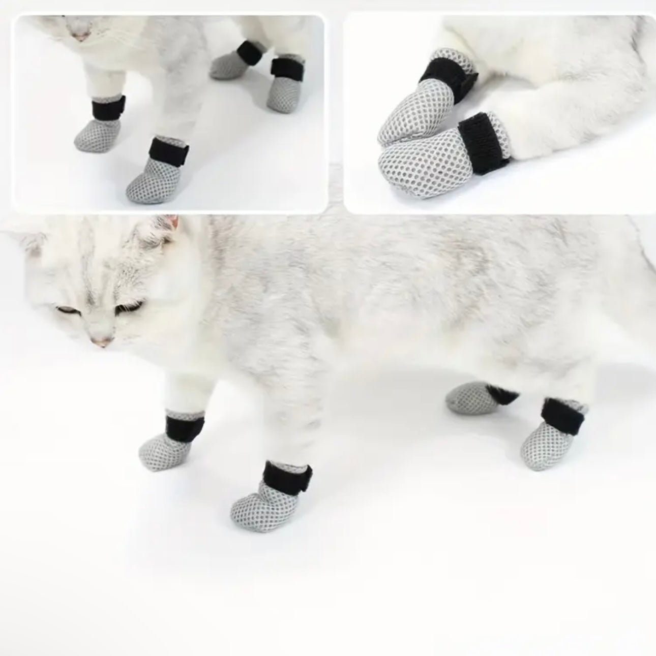 Cat Socks