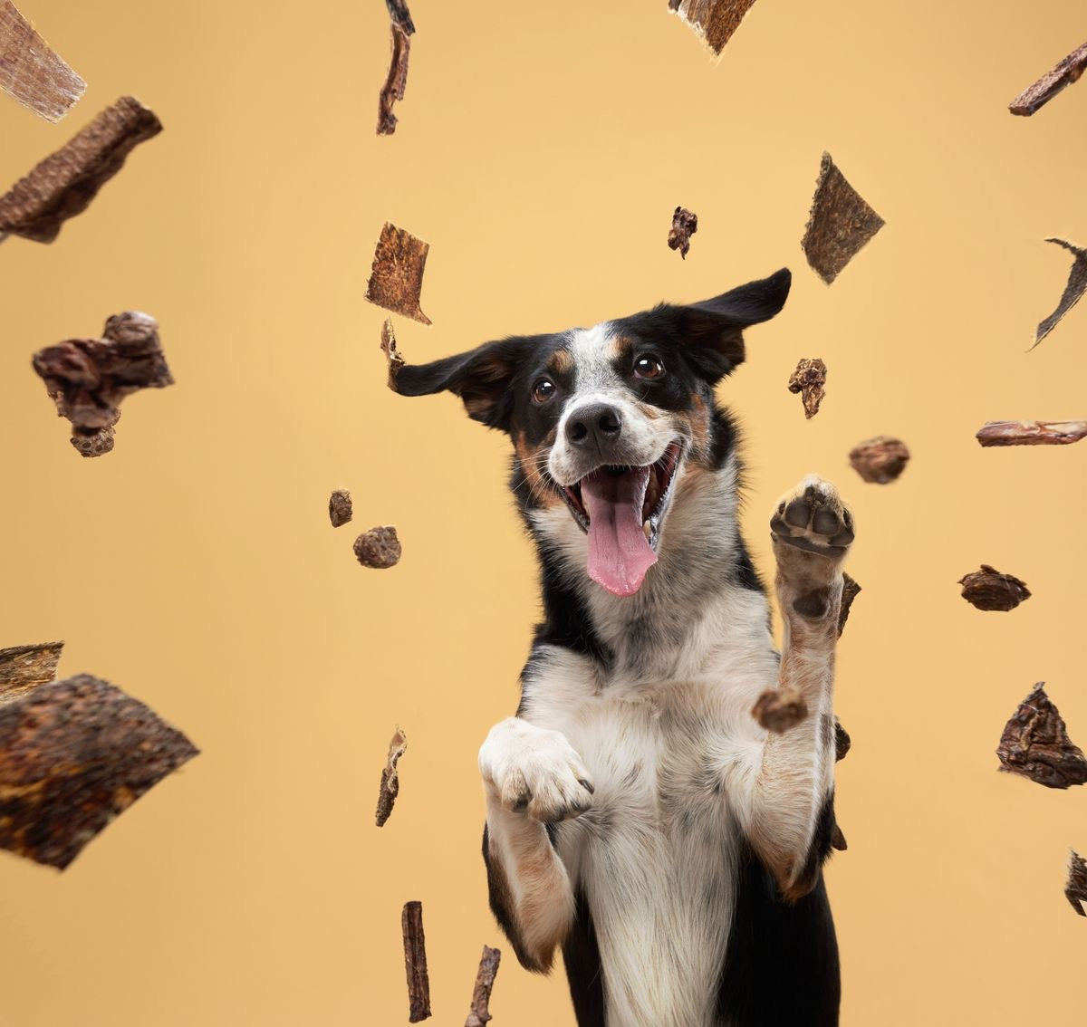 Freeze Dried Treats