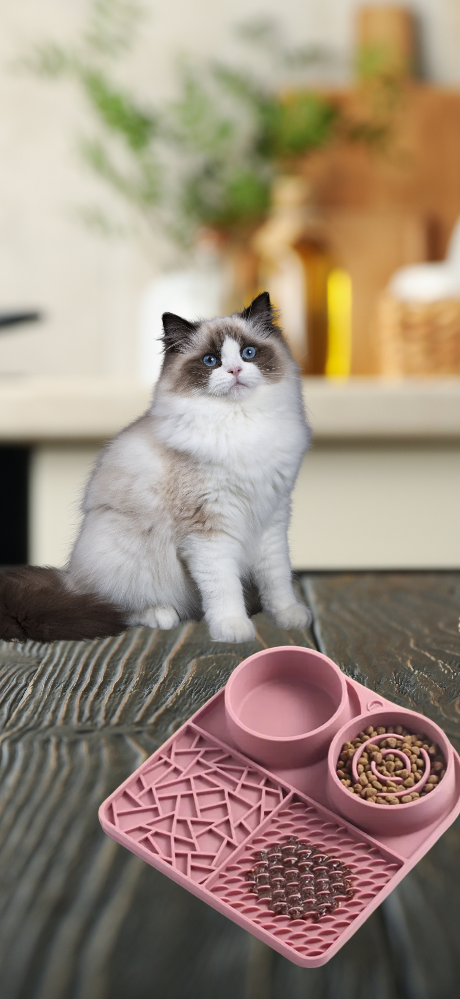 Slow Feeding Mat