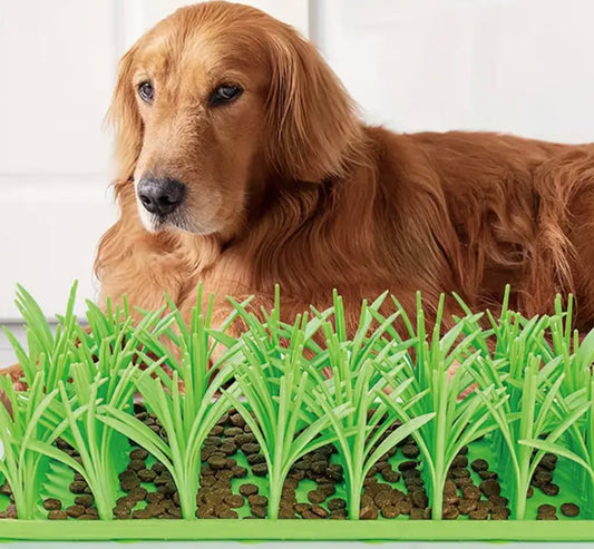 Grass Feeder Mat
