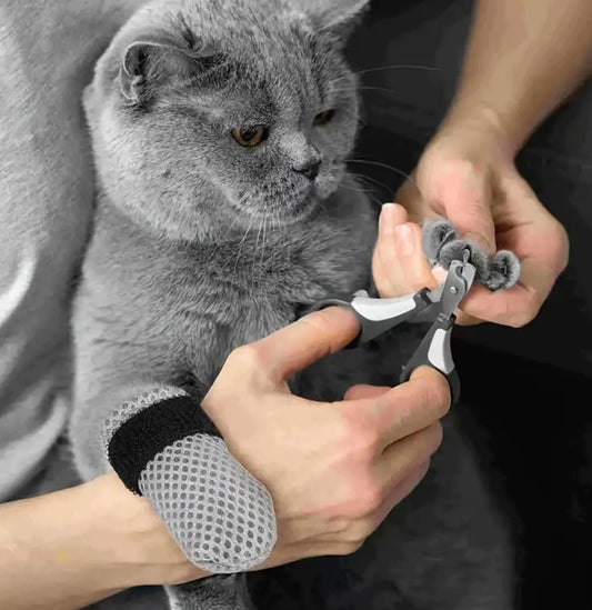 Cat Socks