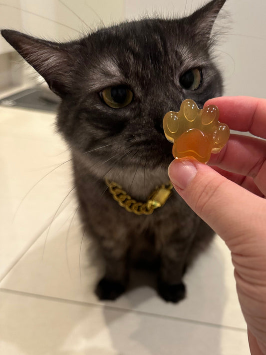 Beef Bone Broth Gummies