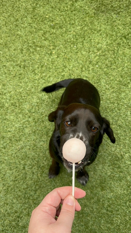 PupPops