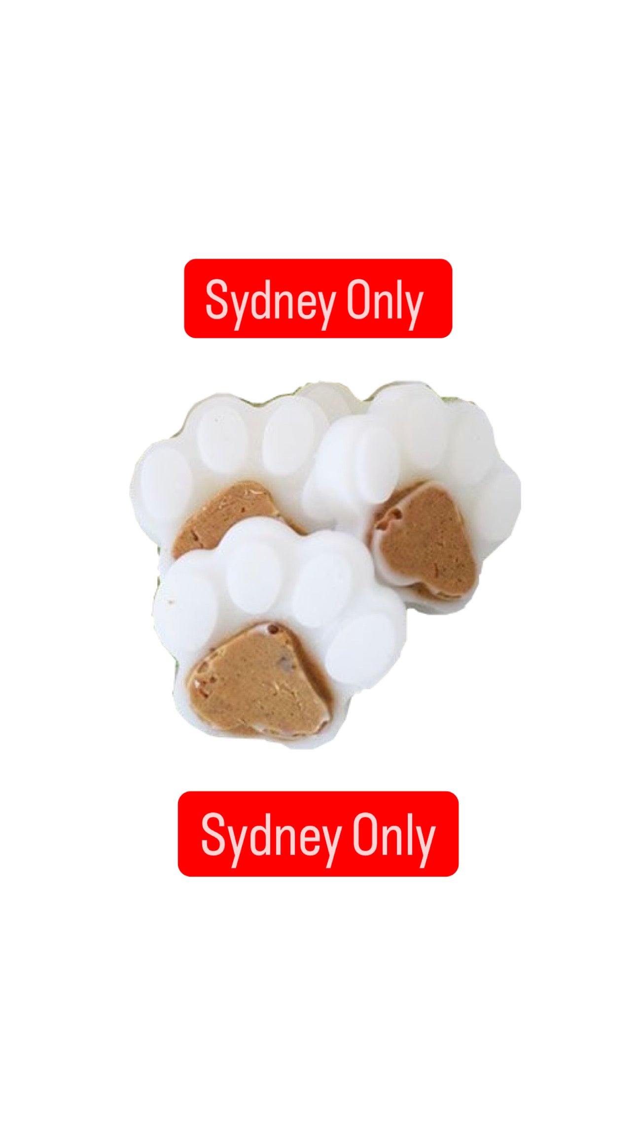 Dental Bites