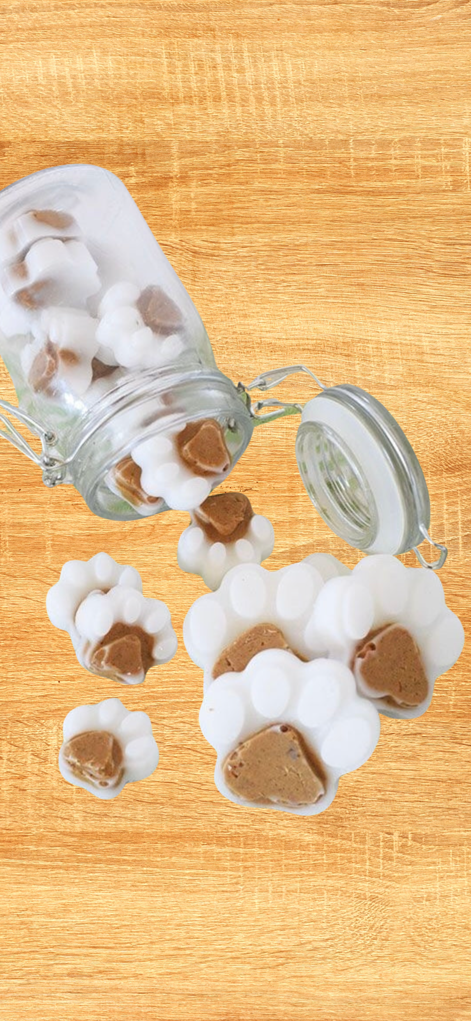 Dental Bites